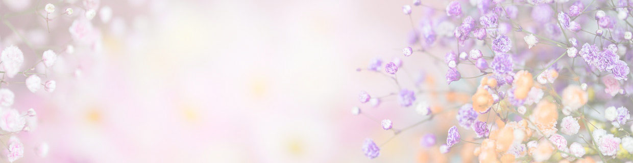 Astreelia bedding categories – premium home textile[]